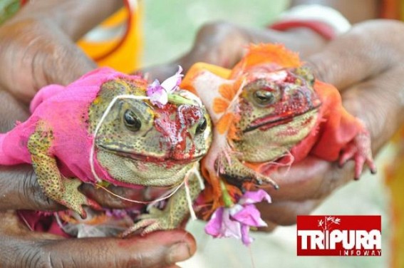 Locals organized Frogs' Marriage for Rain